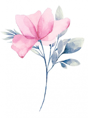 High-End Digital Illustration